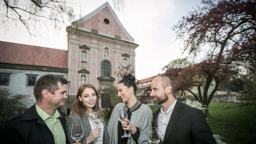 salon sauvigion 2025